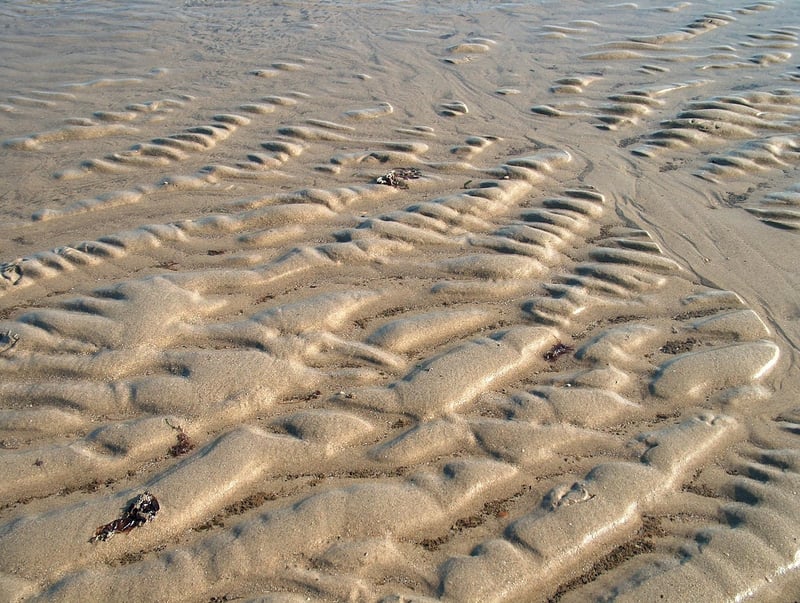 Bohemian Chic Bedroom